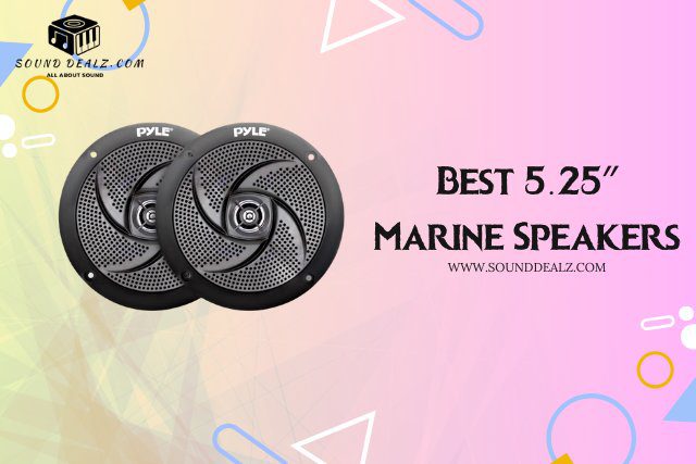 5.25″ Marine Speakers