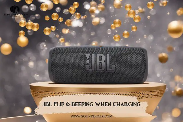 JBL Flip 6 Beeping When Charging