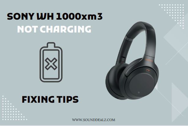 Sony WH 1000xm3 Not Charging